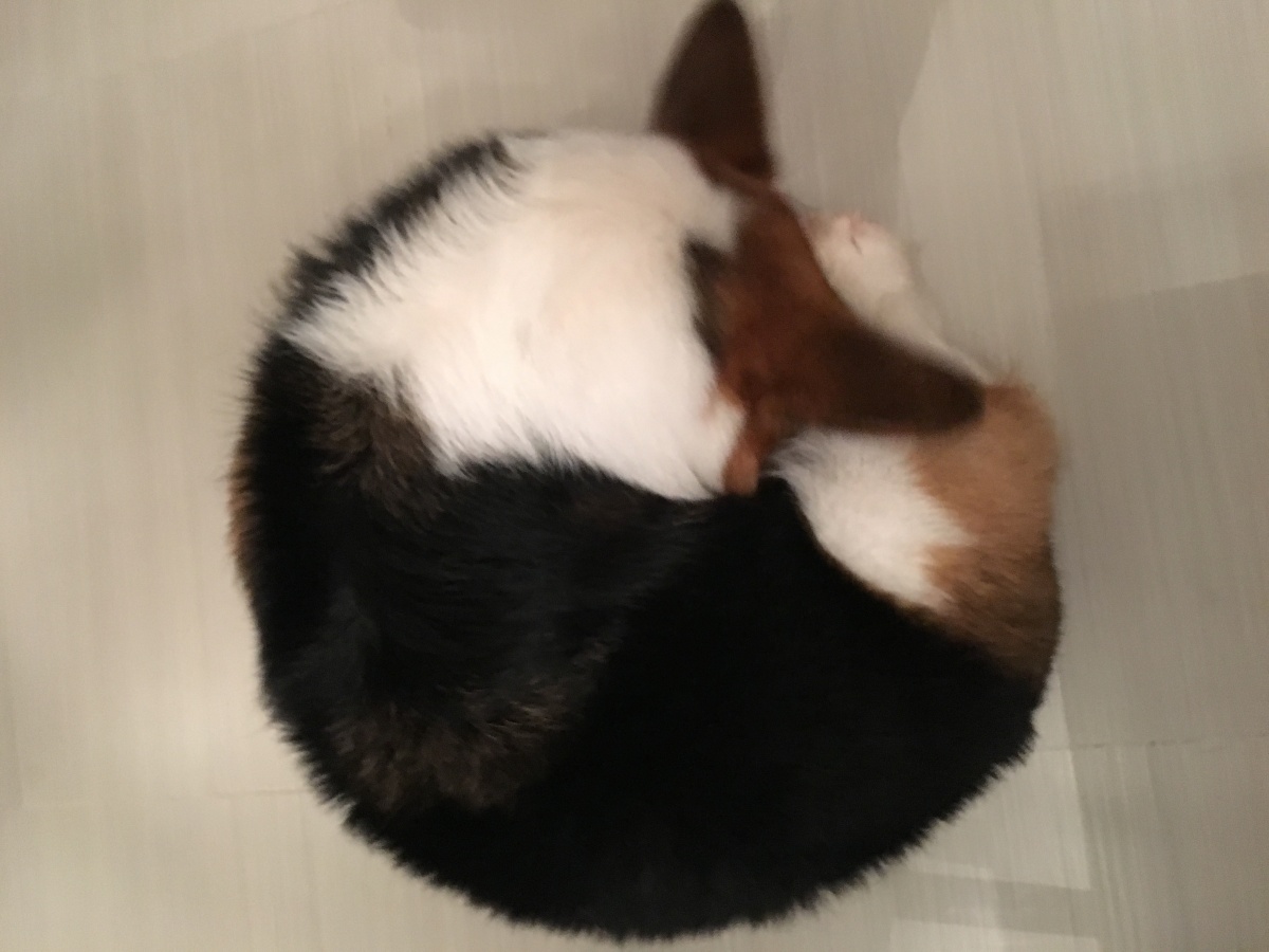 微信图片_20181024093817.jpg