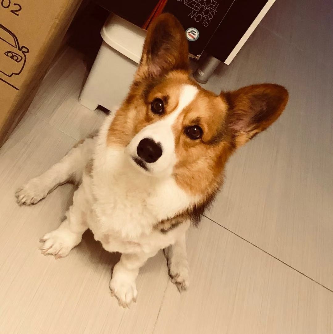 微信图片_20181024093933.jpg