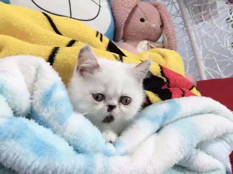 微信图片_20181220121252.jpg